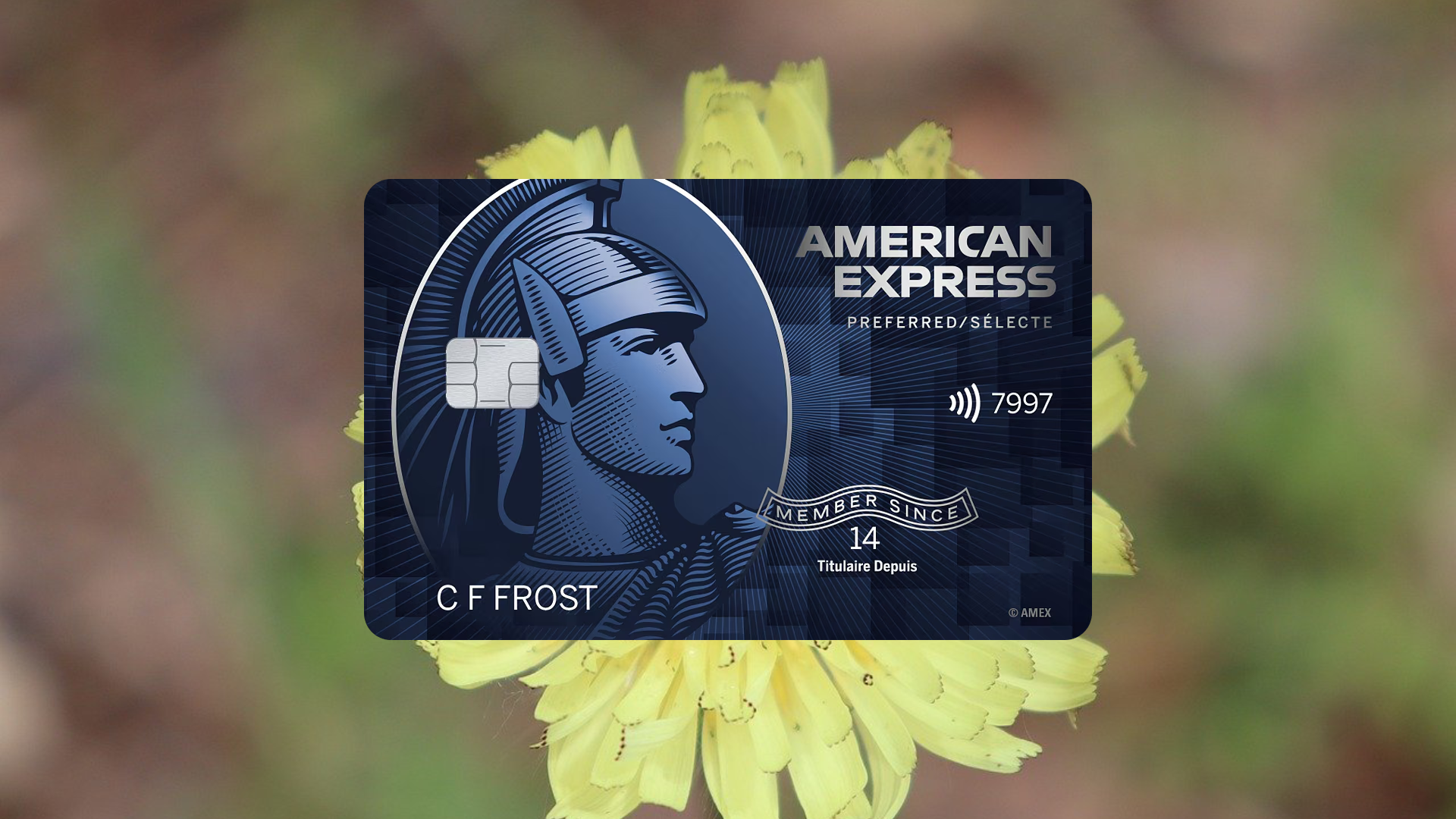 How to Apply for AMEX SimplyCash Preferred Card by American Express